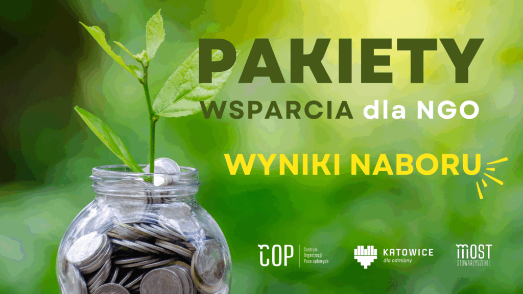 Wyniki naboru na Pakiety Wsparcia dla NGO